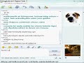 Msn konumas