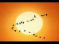 Indio Solari - Flight 956 -