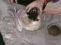 Kid Concoctions Treasure Stones