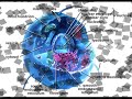 CYTOPLASM MOVIE