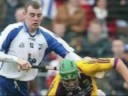 Waterford Hurling 2008