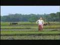 Ameen Raja UK Sonar Bangla Re www.ameenraja.com