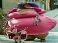 videos de liebe augustin
