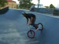 Grizz Whip Air