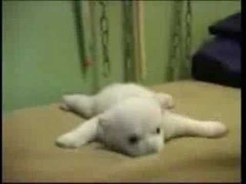 Imagem de Amostra do You Tube