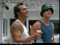 BBB8 - Os homens da casa s�o uns frouxos: Marimbondo ataca!