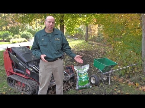 how to properly aerate your lawn