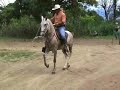 EL PRINCIPE