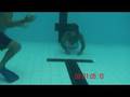 Mark Visser Big Wave Surfer 2:20m -ve Breath Hold Swim 50m