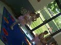 illanas ballett dance
