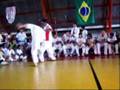 Ver Video