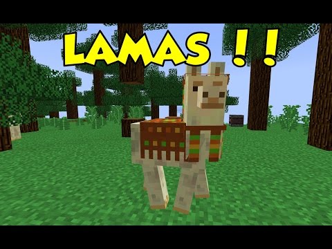 DES LAMAS DANS MINECRAFT ! (pi des méchants pas gentils aussi)