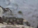Foz waterval