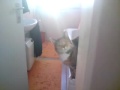 MOV00084.MP4