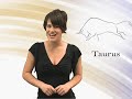 Taurus 10/13 Cosmic Sky Taurus 10/13 Cosmic Sky