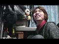 Search Video