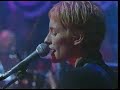 Spiderbait - Sam Gribbles