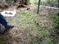 Click here to watch this video 1777 French Infantry Musket .wmv