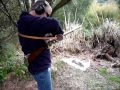 1777 French Infantry Musket .wmv