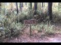 Mike Roess Gold Head Branch State Park, Keystone ...