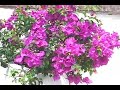 Cartagena, Colombia