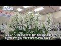 県植物園で野生ランの女王「ウチョウラン展」開催 28日まで 益子かつみ