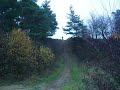 bike meclov 9