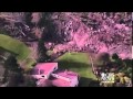 Aerial footage and photos of Whidbey Island ...