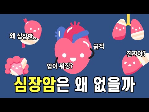 위암, 폐암, 간암, 대장암 다 있는데 왜 심장암은 없을까