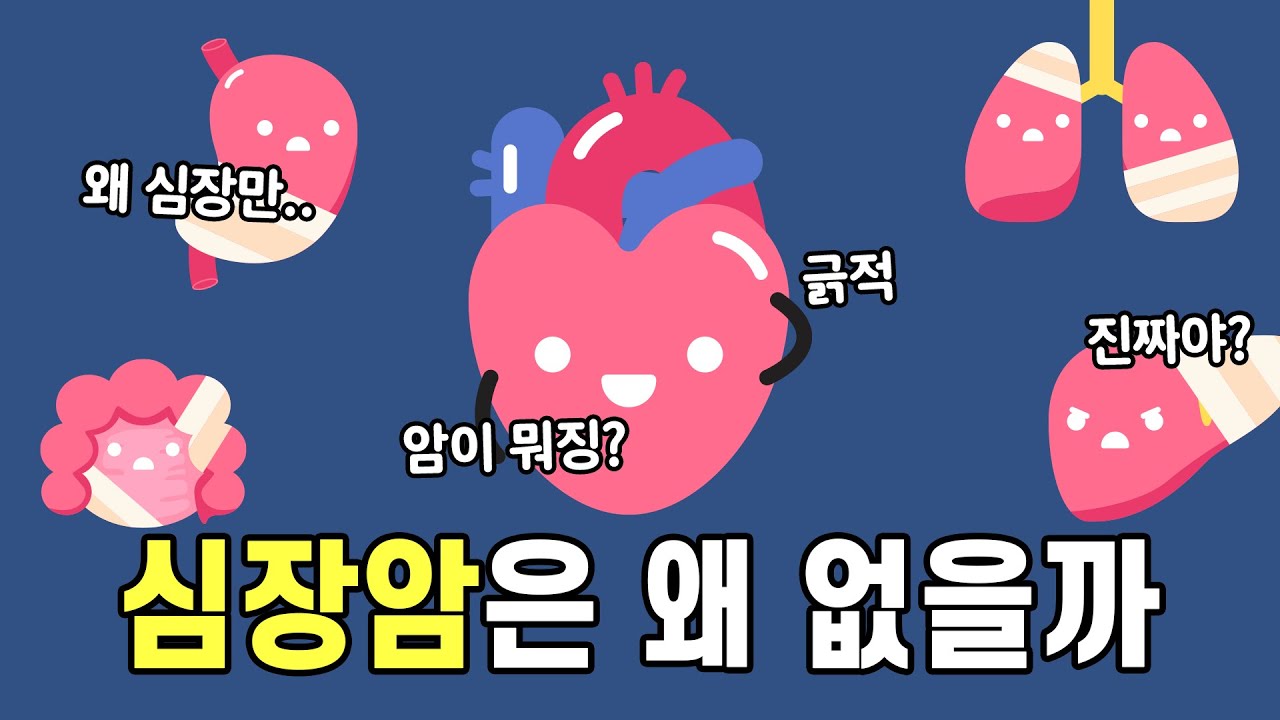 위암, 폐암, 간암, 대장암 다 있는데 왜 심장암은 없을까