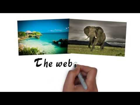 how to obtain zimbabwean visa