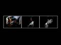Adriana Calcanhotto -- Devolva-me - Clipe Oficial