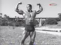 Ade Rai American Muscle Profile