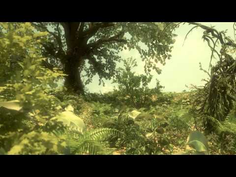 how to rebuild flora