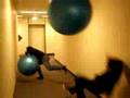 Exercise-Ball-Mayhem
