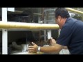 YouTube - Prehistoric Pets: The Reptile Zoo- Bloopers and ...