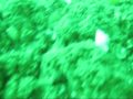 Deception Pass Movie
