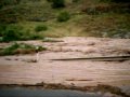 Riada Somaén (Soria) I