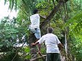 how to build a bamboo bridge in pangasinan