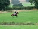 Harry Eland Lodge HT Harry Eland Lodge HT