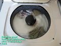 Sunday Wash Day - Frigidaire Style!