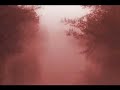 Nine Inch Nails Lights in the sky Nine Inch Nails Lights in the sky