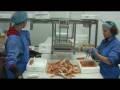 VSV - Lobster/Scampi in Vestmannaeyjar - Iceland