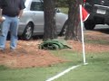 benedictine save vs  saint chris