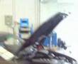 videos de BMW E39 530da en banco de potencia