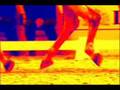 videos de Horses: Bump in the night