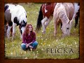 tim mcgraw my little girl.wmv