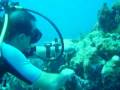 Cousteau Dvd 4-3.mpg