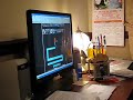 Another Scary Maze Victim
