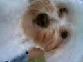 Fluffy